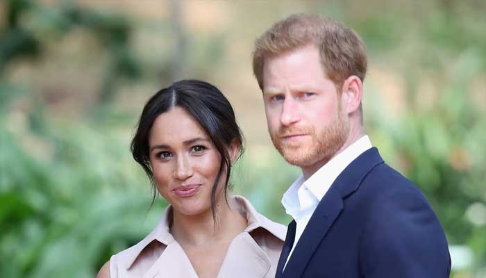 Harry, Meghan mark Social Media Harms Remembrance Day with new message