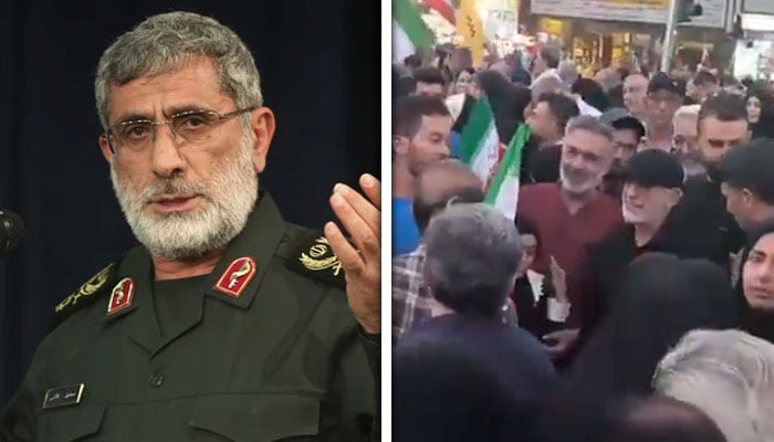 پاسدارانِ انقلاب کی قدس فورس کے سربراہ جنرل اسماعیل قانی زندہ نکلے