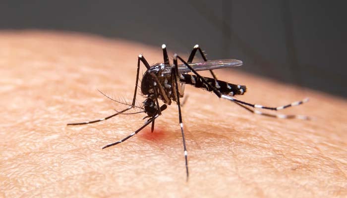 Illinois reports first case of West Nile virus
