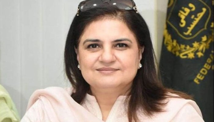 روبینہ خالد—فائل فوٹو