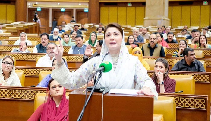 وزیرِ اعلیٰ پنجاب مریم نواز—’جیونیوز‘ گریب