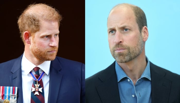Prince Harry seeks reconciliation with Prince William as royal rift deepens