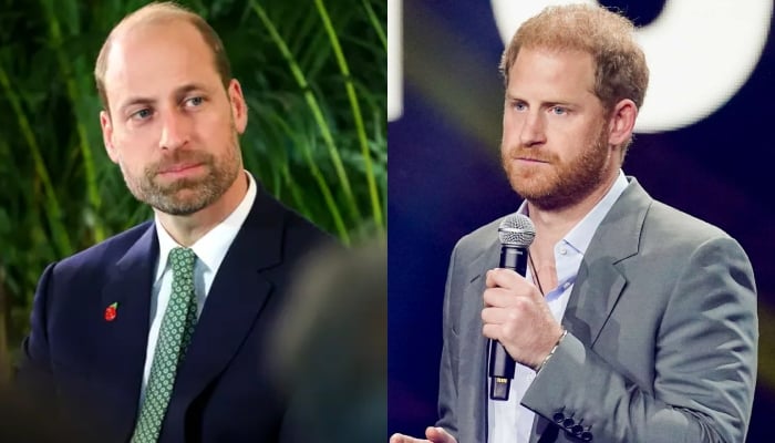 Prince William plans to exclude Harry from royal future despite apology
