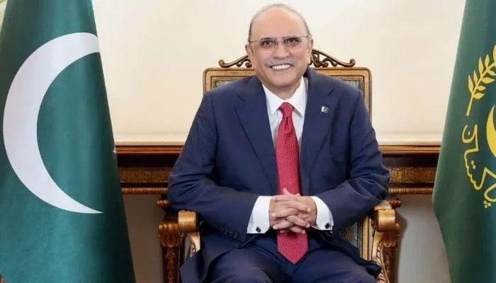 صدرِ مملکت آصف علی زرداری— فائل فوٹو