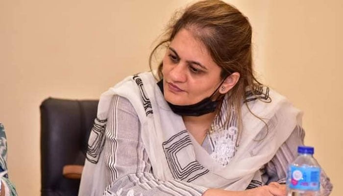 کراچی کو تباہ کرنے والے آج مگر مچھ کے آنسو بہا رہے ہیں، سعدیہ جاوید