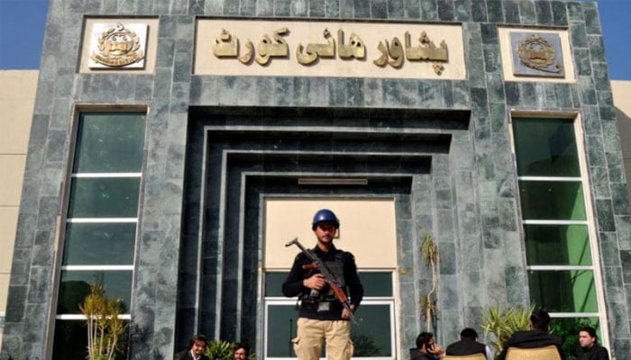 پشاور ہائیکورٹ میں سیاحتی مقامات، دریاؤں پر حفاظتی اقدامات کیلئے درخواست دائر