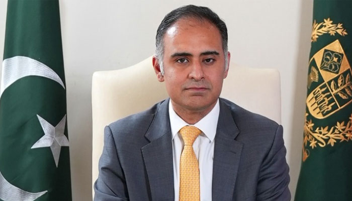حکومت کا مقصد معیشت کو استحکام کی طرف لے جانا ہے، بلال اظہر کیانی