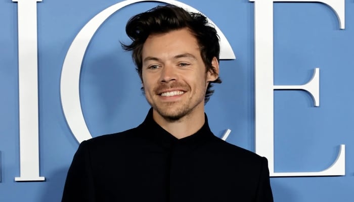 Harry Styles mysterious festival fling from Glastonbury revealed