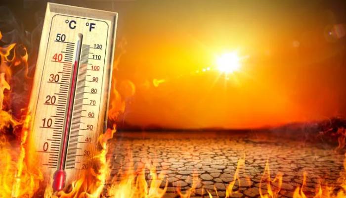 UK weather: Hottest day of 2025 recorded as temperatures soar to 33.9C