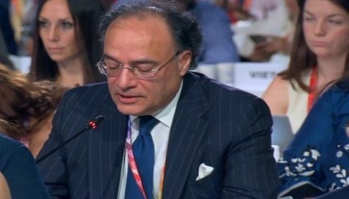وزیرِ خزانہ محمد اورنگزیب—تصویر بشکریہ سوشل میڈیا