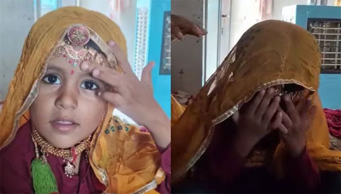 فوٹو: بھارتی میڈیا