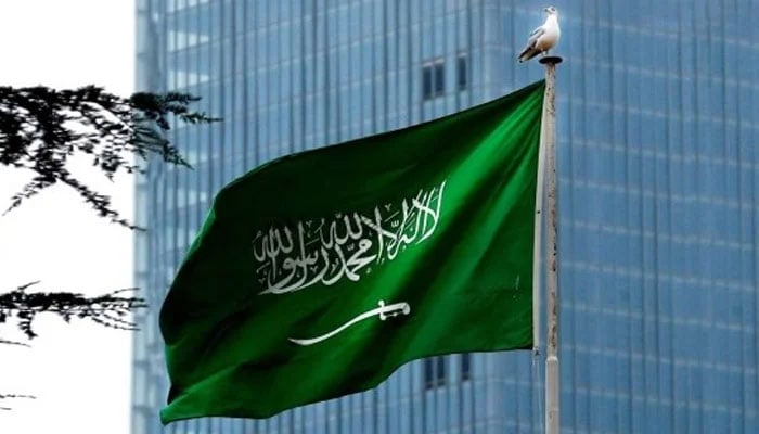 فلسطینیوں کی حمایت جاری رکھیں گے تاکہ وہ اپنے جائز حقوق حاصل کرسکیں، سعودی عرب