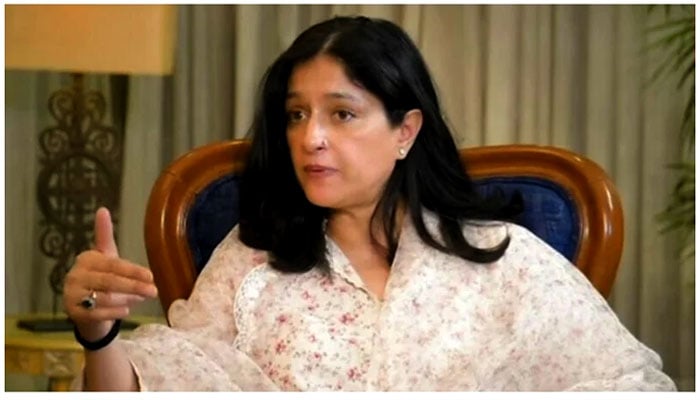 نادیہ جمیل — فائل فوٹو