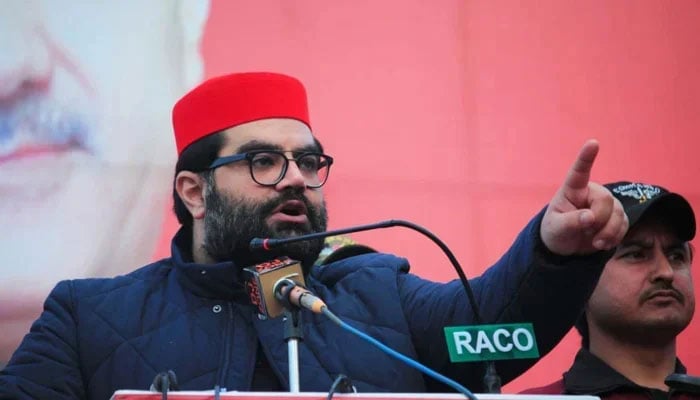ایمل ولی خان—فائل فوٹو