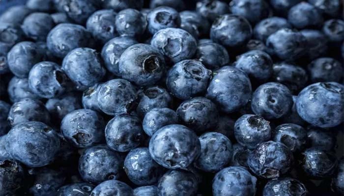 FDA recalls hundreds of blueberries boxes over possible Listeria contamination