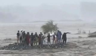 سانحہ دریائے سوات، ڈی جی ریسکیو خیبرپختونخوا انکوائری کمیٹی کے سامنے پیش