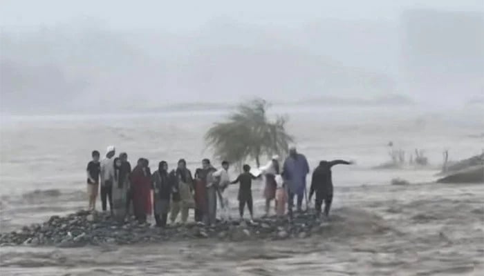 سانحہ سوات: ڈی جی پی ڈی ایم اے نے انکوائری کمیٹی کو بیان ریکارڈ کروادیا