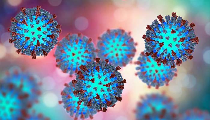 Measles outbreak spreads to Kentucky as US case tally reaches 1,267 this year