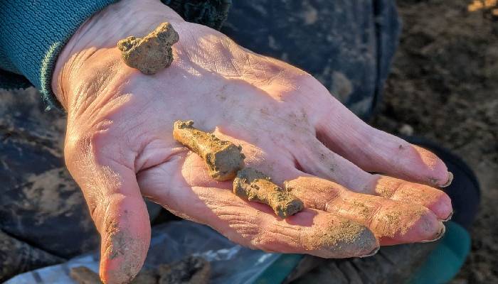 Ancient Roman settlement unearthed after rare swords found in Cotswolds