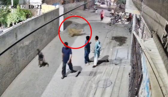 لاہور: شیر کا 2 بچوں سمیت 3 افراد پر حملہ، ویڈیو منظر عام پر