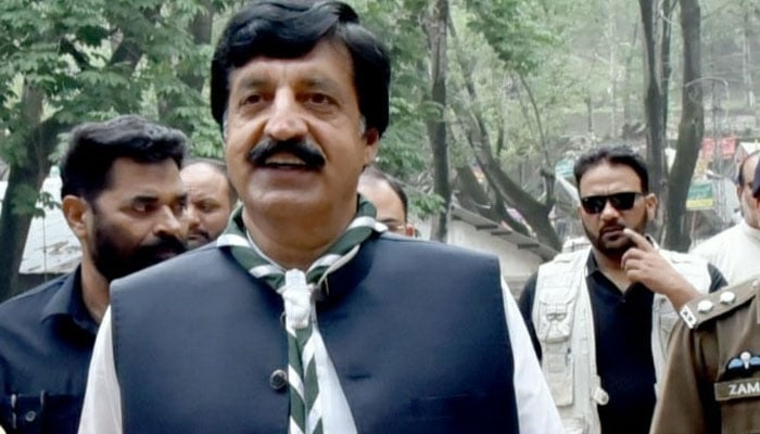گورنر پنجاب سردار سلیم حیدر—فائل فوٹو