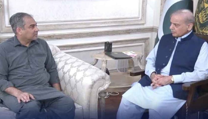 وزیراعظم سے وزیر داخلہ کی ملاقات، یوم عاشور پر سیکیورٹی انتظامات پر بریفنگ