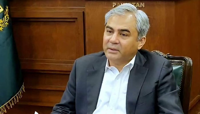وفاقی وزیر داخلہ محسن نقوی — فائل فوٹو
