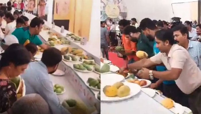 بھارت، مینگو فیسٹیول میں لوگ آموں پر ٹوٹ پڑے