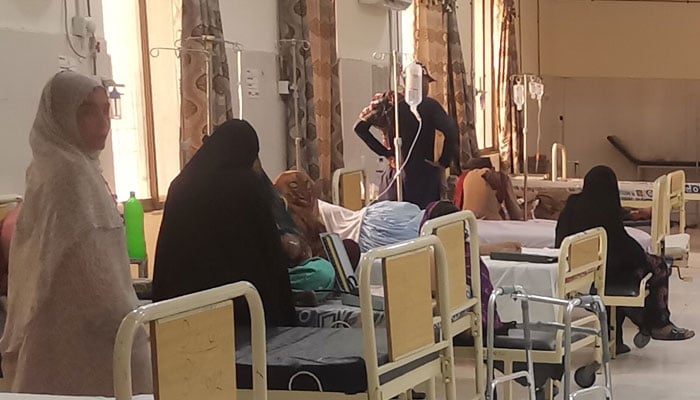 فائل فوٹو