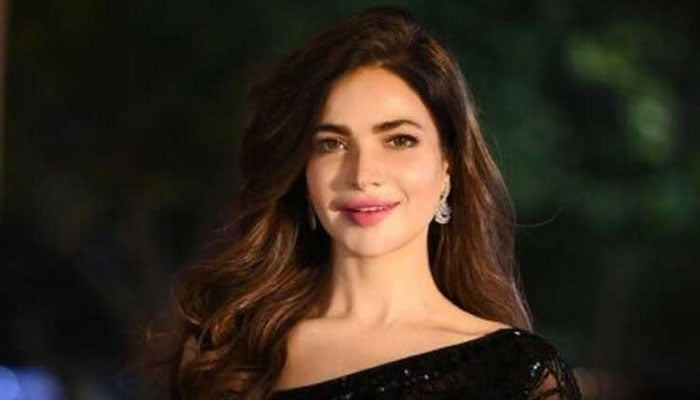 اداکارہ حمیرا اصغر—فائل فوٹو