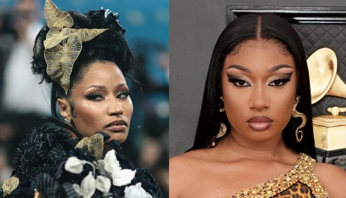 Nicki Minaj disses Megan Thee Stallion after legal setback: Karmas Law