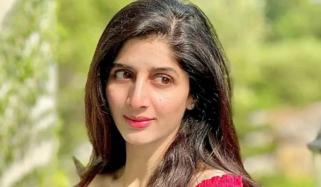 ماورا کی مشکلات میں گھرے ساتھی فنکاروں کیلئے بڑی پیشکش