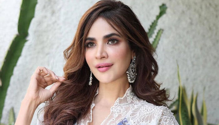 حمیرا اصغر کے ورثاء نے کسی شک و شبہے کا اظہار نہیں کیا، ایس ایس پی ساؤتھ