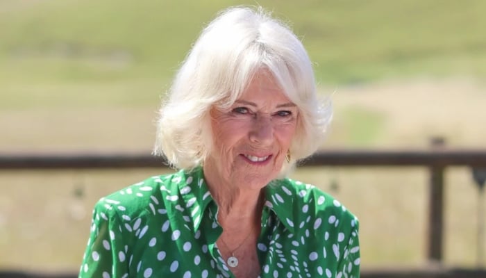 Queen Camilla steps out without King Charles to celebrate big moment
