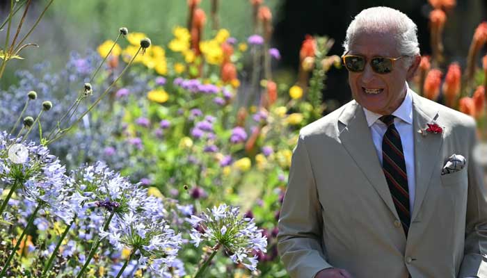King Charles shares rare glimpses into his whirlwind day in Deal