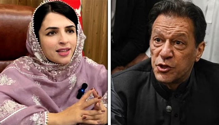بانی پی ٹی آئی کی ہدایت ہے کہ سینیٹ الیکشن کیلئے کاغذات جمع کروں، مشال یوسفزئی، ذرائع