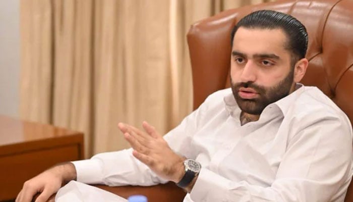 راول شرجیل—فائل فوٹو