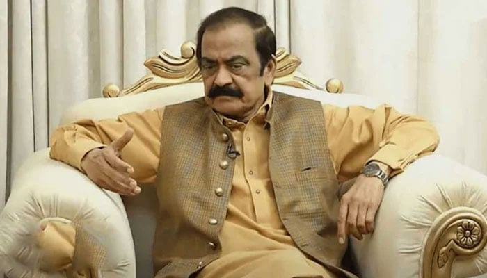 رہنما مسلم لیگ ن رانا ثناء اللّٰہ—فائل فوٹو
