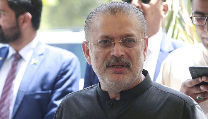 وزیر اطلاعات سندھ شرجیل میمن—فائل فوٹو