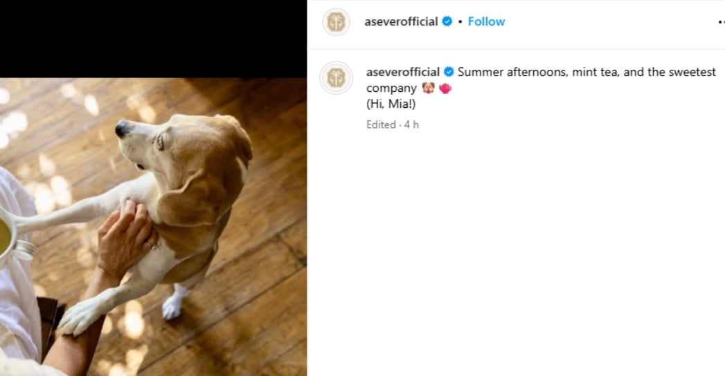 Picture Credit: As Ever/ Instagram