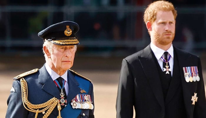 Prince Harry flies abroad without Meghan Markle after King Charles peace summit