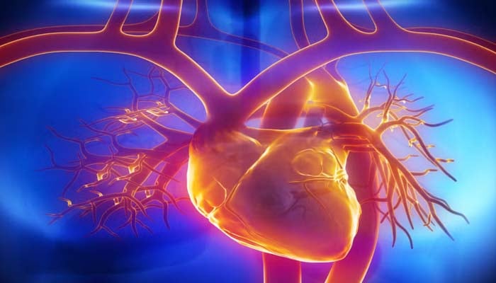 FDA approves Kerendia for cardiac failure with LVEF ≥40 percent