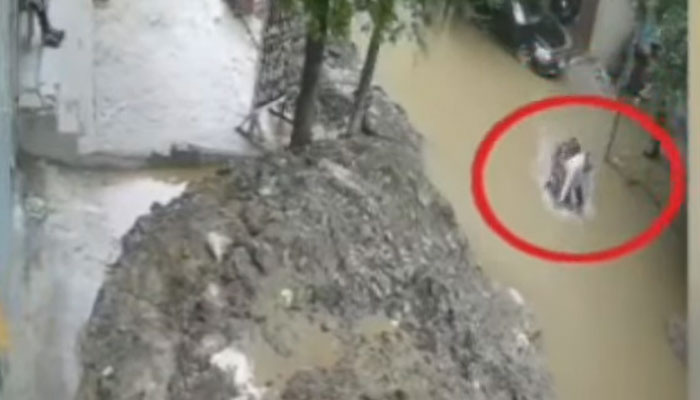 — ویڈیو گریب