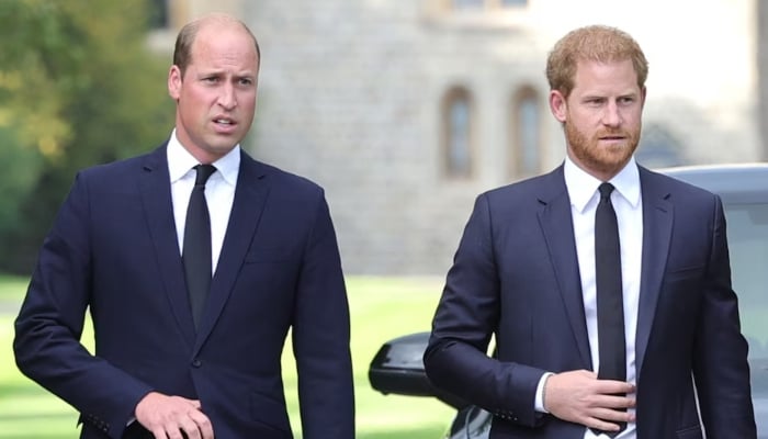 Prince William, Prince Harrys rift becomes biggest hurdle to family reunion