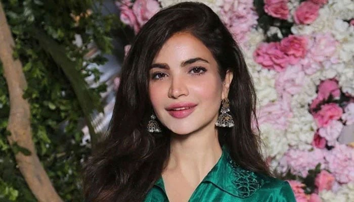 حمیرا اصغر کی بلڈنگ کی انتظامیہ، چوکیدار، سابقہ گھریلو ملازمہ شاملِ تفتیش