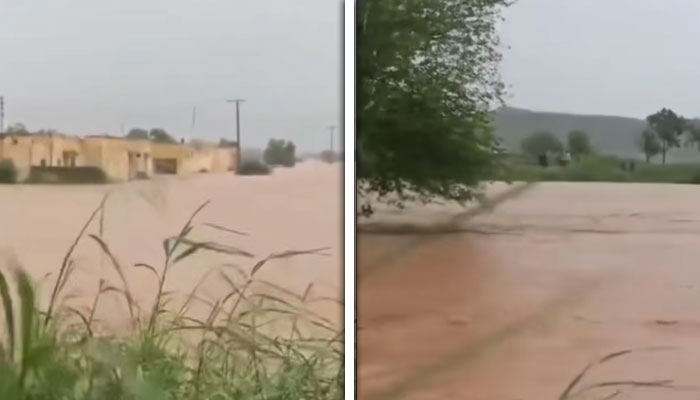 تصویر، اسکرین گریب