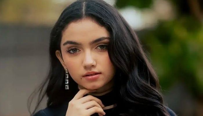 دکھتی نہیں لیکن 16 سال کی ہوں، منفی تبصروں سے تکلیف ہوتی ہے: عنیا آصف