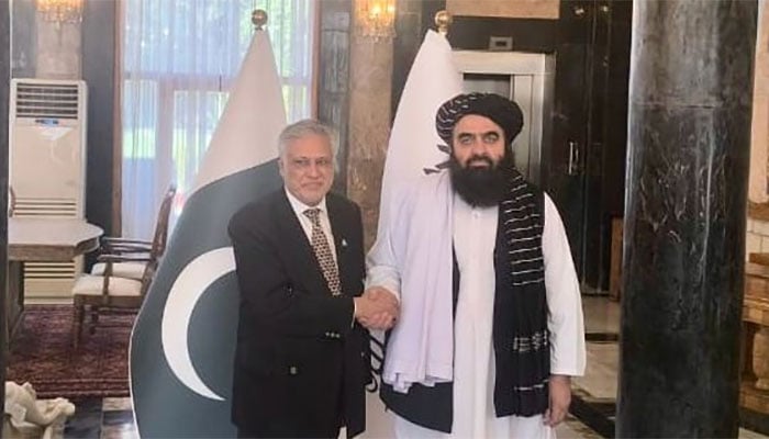— تصویر بشکریہ سوشل میڈیا دفترِ خارجہ