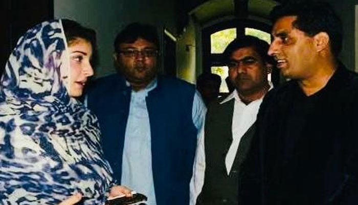 مریم نواز کی متاثرینِ سیلاب کیلئے دن رات کی کاوشیں قابلِ ستائش ہیں، ملک نور اعوان