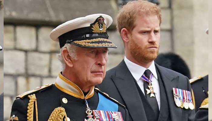 Prince Harry releases first statement after peace talks with King Charles